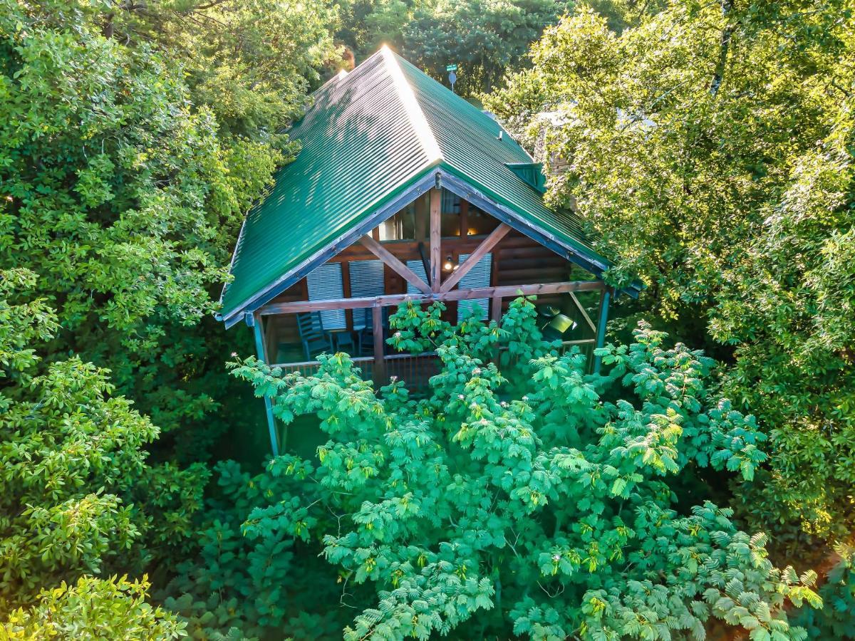 Cozy Log Cabin!! In Heart Of Pf & Close To The Smokies Pigeon Forge Εξωτερικό φωτογραφία